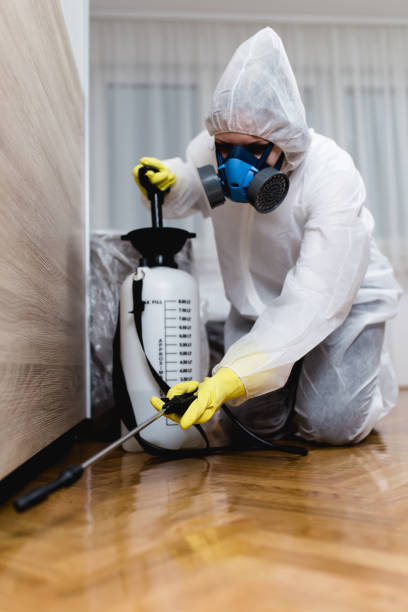 Best Residential Pest Control  in Eldon, MO